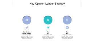 Key Opinion Leader Strategy Ppt PowerPoint Presentation Infographic Template Guidelines Cpb Pdf
