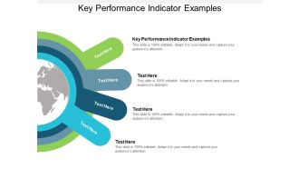 Key Performance Indicator Examples Ppt PowerPoint Presentation Outline Clipart Cpb