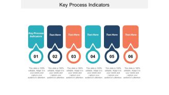Key Process Indicators Ppt PowerPoint Presentation Portfolio Tips