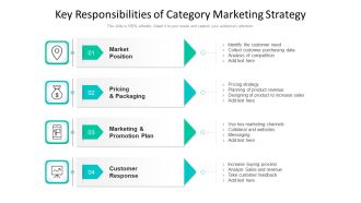 Key Responsibilities Of Category Marketing Strategy Ppt PowerPoint Presentation Professional Guidelines PDF