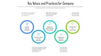 Key Values And Practices For Company Ppt PowerPoint Presentation Gallery Example Topics PDF