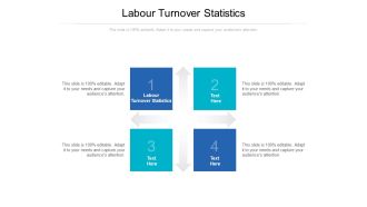 Labour Turnover Statistics Ppt PowerPoint Presentation Portfolio Examples Cpb