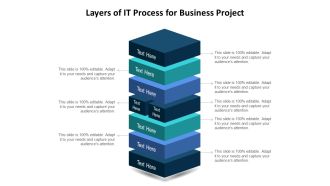 Layers Of IT Process For Business Project Ppt PowerPoint Presentation Infographics Design Ideas PDF