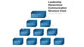 Leadership Hierarchical Communication Structure Chart Ppt PowerPoint Presentation File Tips PDF