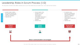Leadership Roles In Scrum Process Owner Summary PDF