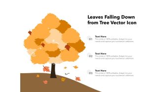Leaves Falling Down From Tree Vector Icon Ppt PowerPoint Presentation File Objects PDF
