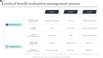 Levels Of Benefit Realization Management Process Elements PDF