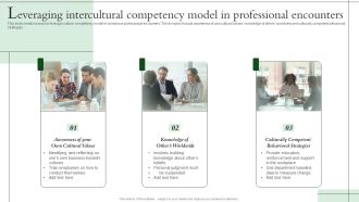 Leveraging Intercultural Competency Model In Professional Encounters Icons PDF