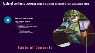 Leveraging Multiple Marketing Strategies To Increase Business Sales Table Of Contents Elements PDF
