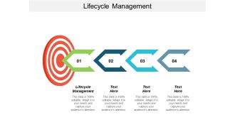 Lifecycle Management Ppt Powerpoint Presentation Portfolio Vector Cpb