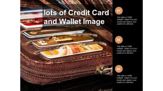 Lots Of Credit Card And Wallet Image Ppt PowerPoint Presentation Model Example