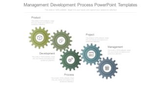 Management Development Process Powerpoint Templates