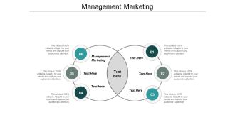 Management Marketing Ppt PowerPoint Presentation Icon Format Cpb