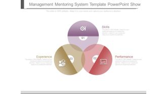 Management Mentoring System Template Powerpoint Show