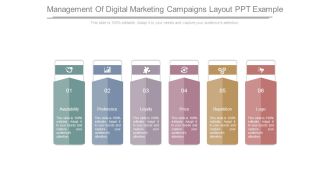 Management Of Digital Marketing Campaigns Layout Ppt Example