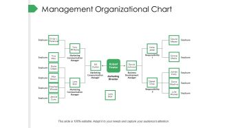 Management Organizational Chart Ppt PowerPoint Presentation Summary Gallery