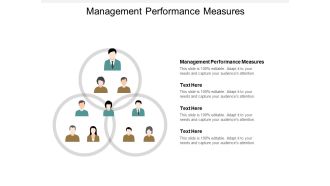 Management Performance Measures Ppt PowerPoint Presentation Professional Example File Cpb