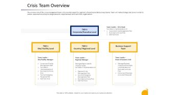 Management Program Presentation Crisis Team Overview Ppt Model Gridlines PDF