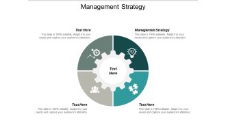 Management Strategy Ppt PowerPoint Presentation Layouts Objects Cpb