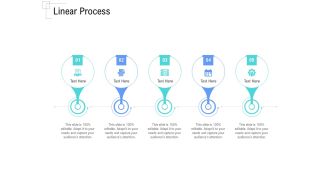 Managing Customer Experience Linear Process Topics PDF