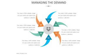 Managing The Demand Ppt PowerPoint Presentation Portfolio File Formats