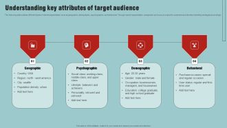 Market Analysis Overview And Different Categories Understanding Key Attributes Of Target Audience Slides PDF