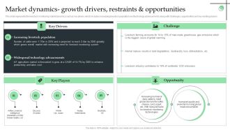 Market Dynamics Growth Drivers Restraints And Opportunities Ppt Background PDF