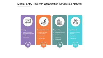 Market Entry Plan With Organization Structure And Network Ppt PowerPoint Presentation Outline Example