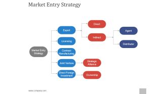 Market Entry Strategy Ppt PowerPoint Presentation Graphics