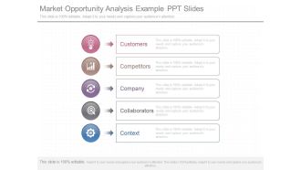 Market Opportunity Analysis Example Ppt Slides