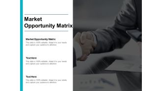 Market Opportunity Matrix Ppt PowerPoint Presentation Styles Design Inspiration Cpb