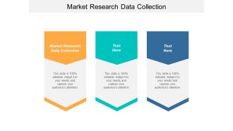 Market Research Data Collection Ppt PowerPoint Presentation Infographics Ideas Cpb