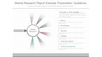 Market Research Report Example Presentation Guidelines