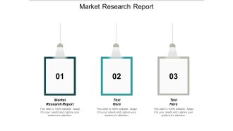 Market Research Report Ppt PowerPoint Presentation Slides Elements Cpb