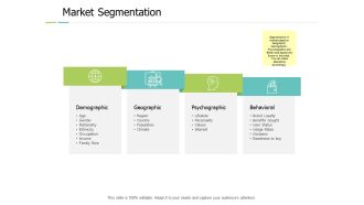 Market Segmentation Geographical Ppt PowerPoint Presentation Layouts Layout