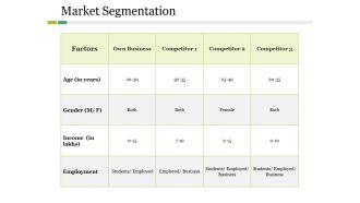 Market Segmentation Ppt PowerPoint Presentation Infographics Information