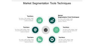 Market Segmentation Tools Techniques Ppt PowerPoint Presentation Slides Graphics Template Cpb