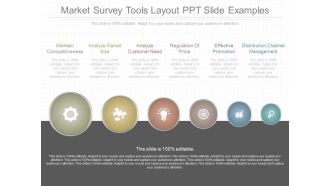 Market Survey Tools Layout Ppt Slide Examples