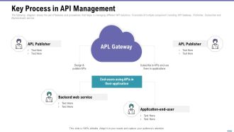 Market Viewpoint Application Programming Interface Governance Key Process In API Management Mockup PDF