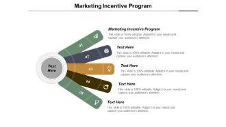 Marketing Incentive Program Ppt PowerPoint Presentation File Gallery