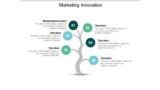Marketing Innovation Ppt PowerPoint Presentation Slides Graphics Example Cpb