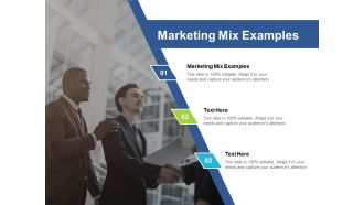 Marketing Mix Examples Ppt PowerPoint Presentation File Structure Cpb Pdf