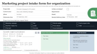 Marketing Project Intake Form For Organization Mockup PDF