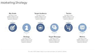 Marketing Strategy Target Startup Business Strategy Ppt Infographics Example File PDF