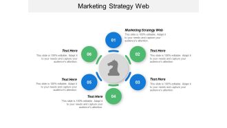 Marketing Strategy Web Ppt PowerPoint Presentation Inspiration Professional Cpb