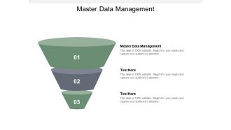 Master Data Management Ppt PowerPoint Presentation Infographic Template Introduction Cpb