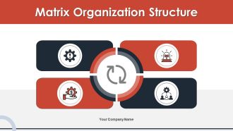 Matrix Organization Structure Ppt PowerPoint Presentation Complete Deck With Slides