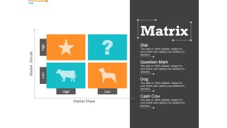 Matrix Ppt PowerPoint Presentation Gallery Format Ideas