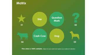 Matrix Ppt Powerpoint Presentation Ideas File Formats