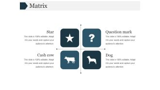 Matrix Ppt PowerPoint Presentation Ideas Graphics